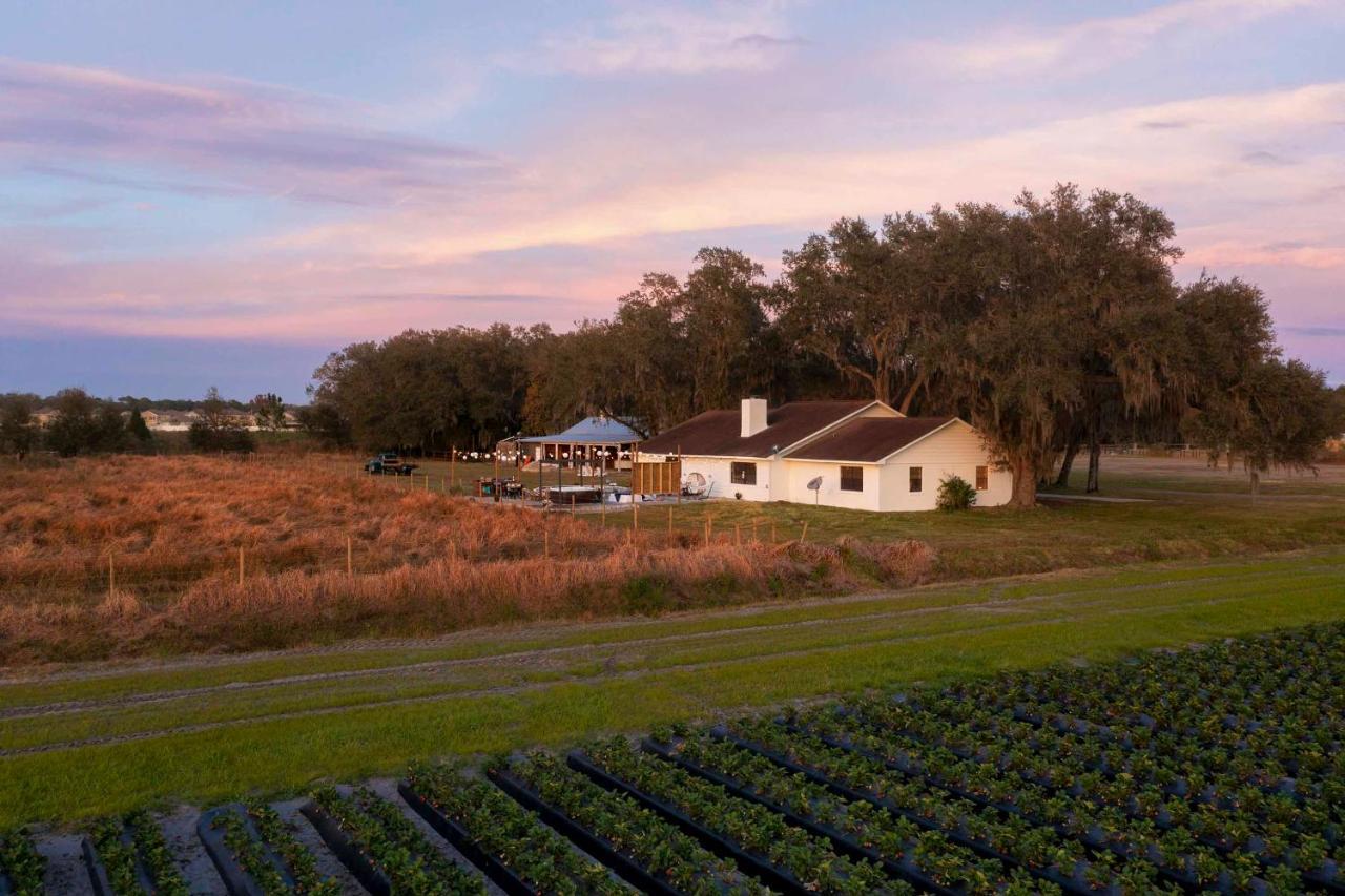 Plant City Home With Outdoor Pool! Dış mekan fotoğraf